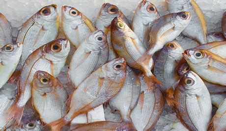 online fish delivery in mumbai|Shop Fresh Fish & Seafood Online .
